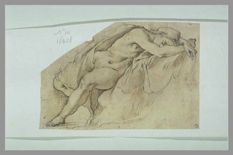 Une femme nue, à demi-couchée et endormie, image 1/1