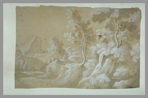 Paysage rocheux avec des arbres et des arbustes, image 1/1