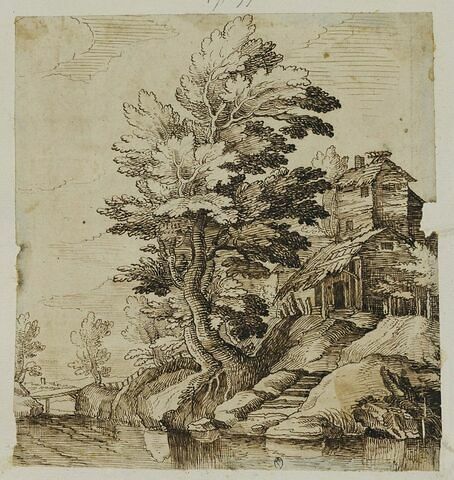 Maison rustique sur un rocher avec un arbre élevé et touffu, image 1/1