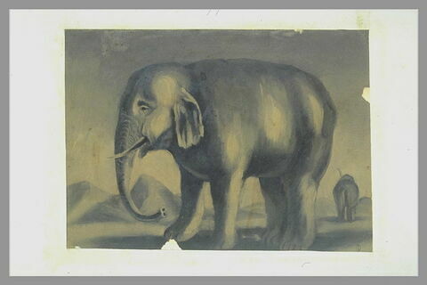 Un éléphant debout, de profil à gauche, et un autre de dos