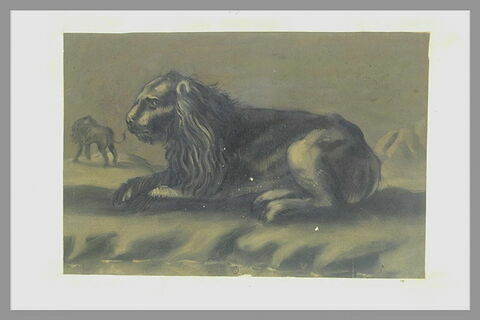 Un lion couché, de profil à gauche