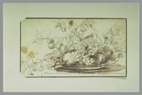 Etude de fleurs et de fruits dans un plateau, image 1/1