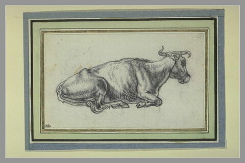 Etude de vache couchée, de profil vers la droite, image 2/2