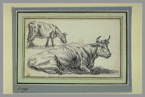 Etude d'une vache couchée et d'une autre debout, image 2/2