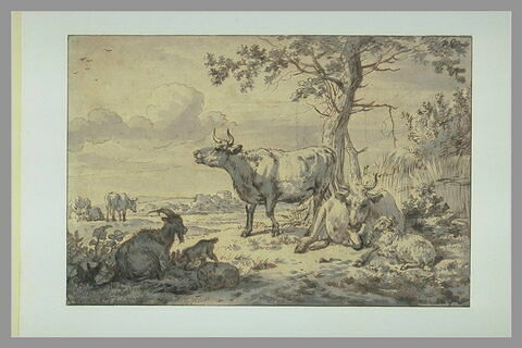 Vaches, chèvres et moutons se reposant à l'ombre d'un taillis
