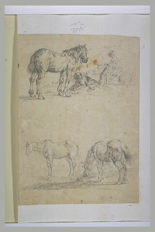 Un cavalier tirant un cheval, avec un chien, et deux chevaux paissant, image 1/1