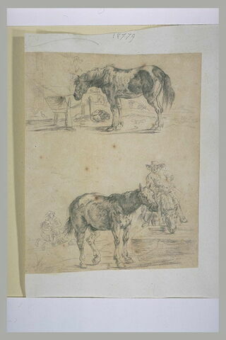 Un cheval attaché à une mangeoire et un homme qui fait boire son cheval