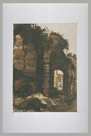 Ruines envahies de végétation, image 1/1