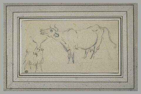 Etudes d'une chèvre et d'une vache, image 1/1