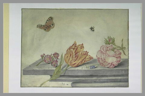 Composition avec insectes et fleurs, image 2/2