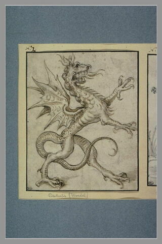 Un dragon ailé, tourné vers la droite, image 2/2