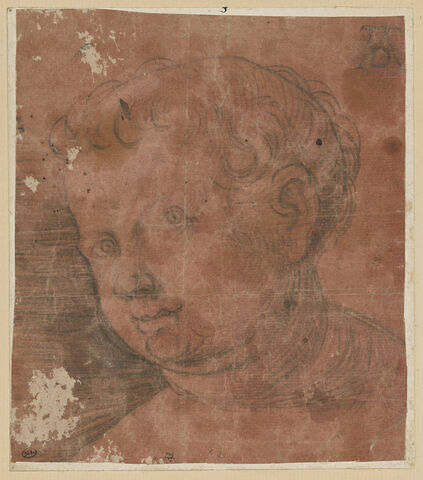 Tête d'enfant, image 1/2