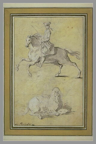 Jeune homme sur un cheval au galop ; cheval couché