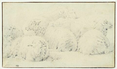 Etude de sept moutons couchés