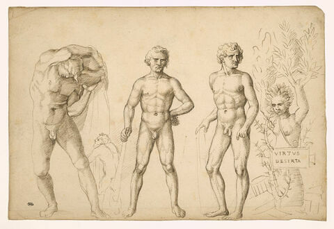 Trois figures d'Hercule jeune, une nymphe changée en saule, un satyre