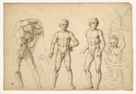 Trois figures d'Hercule jeune, une nymphe changée en saule, un satyre, image 1/2