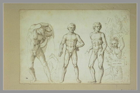 Trois figures d'Hercule jeune, une nymphe changée en saule, un satyre, image 2/2