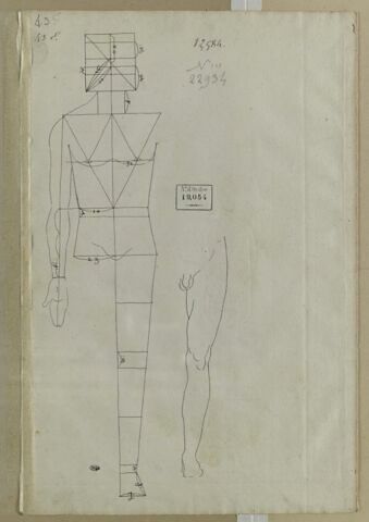 Homme debout, bras tombant, avec lignes de proportions et étude de jambe