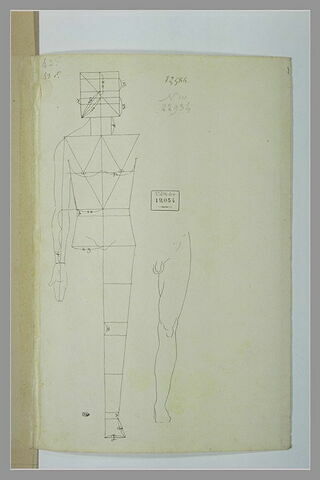 Homme debout, bras tombant, avec lignes de proportions et étude de jambe, image 2/2