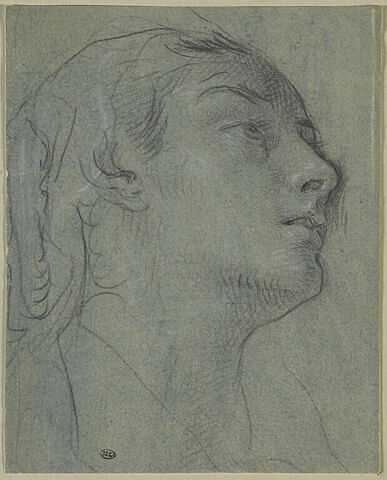 Tête de jeune femme, vue de profil, tournée vers la droite, image 2/2