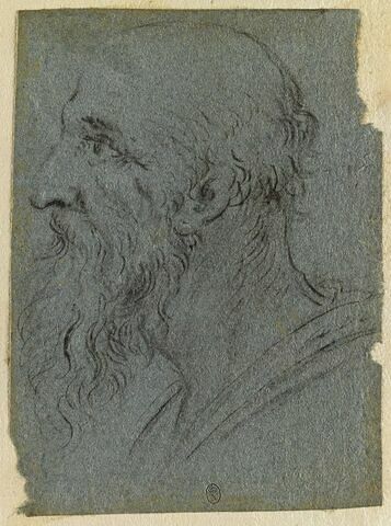 Tête de vieil homme chauve, barbu, de profil à gauche, image 1/2