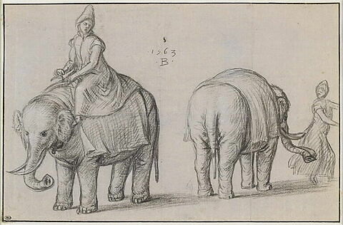 Deux études d'éléphants et de leurs gardiens
