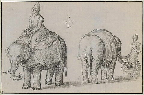 Deux études d'éléphants et de leurs gardiens, image 1/1