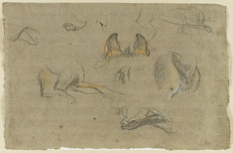 Etudes de gueules et pattes de renards, image 1/2