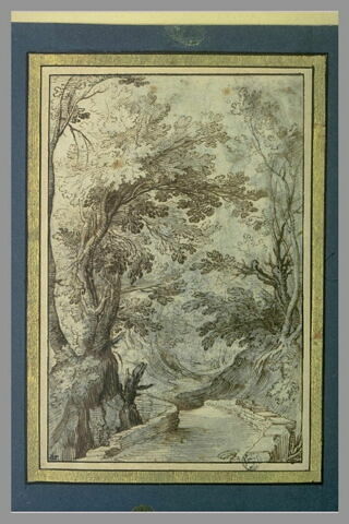 Route entre deux talus boisés, image 1/1
