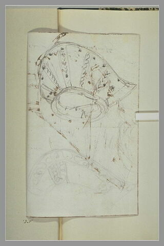 Croquis de gorgerons, image 1/1