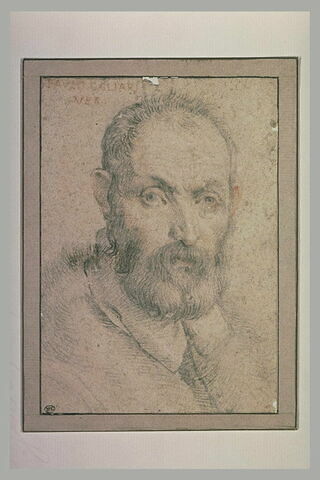 Tête d'homme, vue de face, portant moustache et barbe, image 2/2