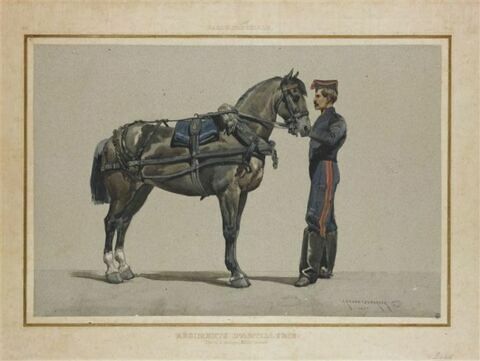 Artillerie ; cheval d'attelage, image 1/1