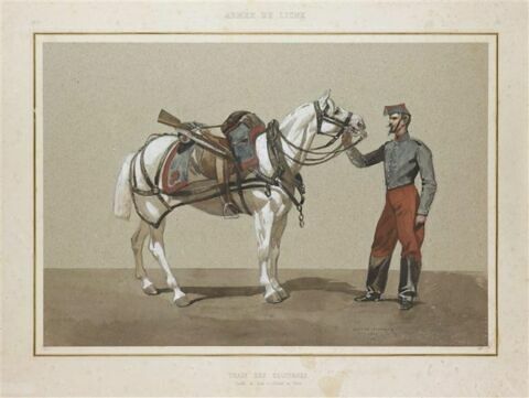 Train des équipages ; cheval de trait et soldat en veste, image 1/1