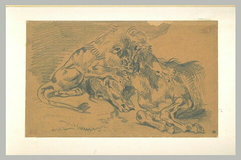 Lion dévorant un cheval, image 2/2