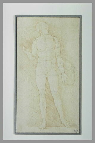 Homme nu, debout, de profil à droite, étude pour les 'Proportions du corps', image 2/2