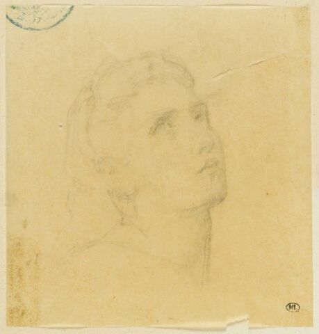Tête, image 1/2