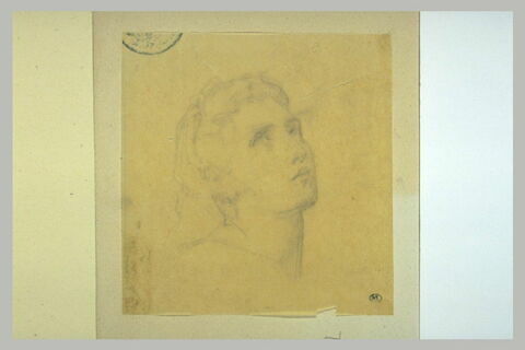 Tête, image 2/2