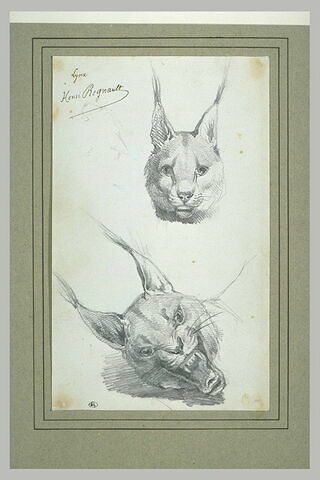 Deux têtes de lynx, image 2/2