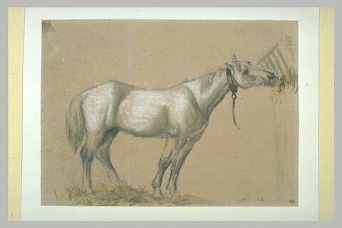 Cheval au râtelier, image 2/2