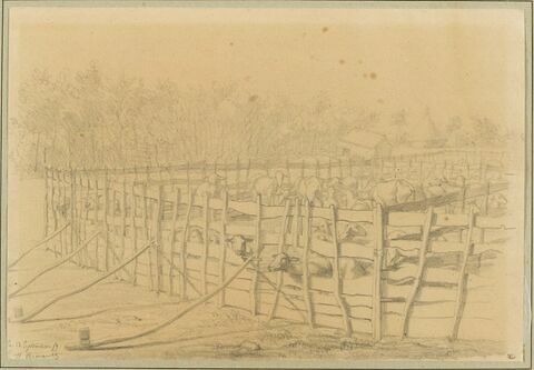 Parc à moutons, image 1/2