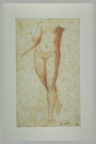 Femme nue, de face, sans la tête