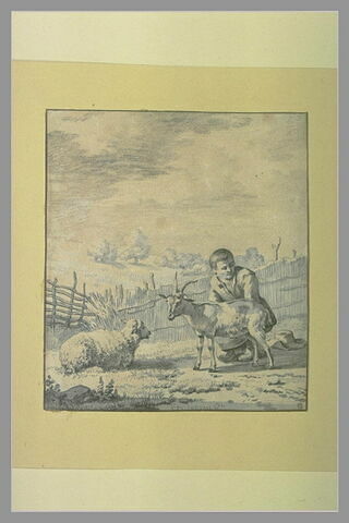 Enfant près d'une chèvre et d'une brebis couchée, image 2/2