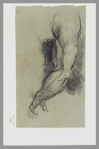 Etude de bras, d'après Michel-Ange, image 1/1
