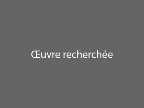 Une batterie flottante, image 1/1