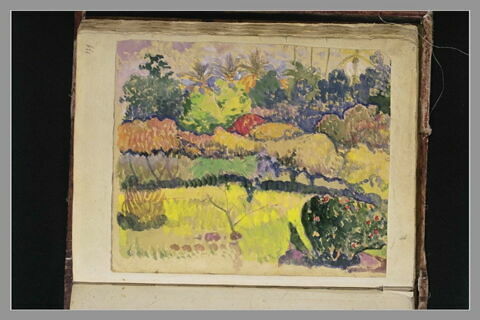 Paysage polynésien, image 1/1