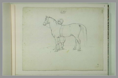 Un oriental derrière un cheval ; bouche d'un cheval, image 1/1