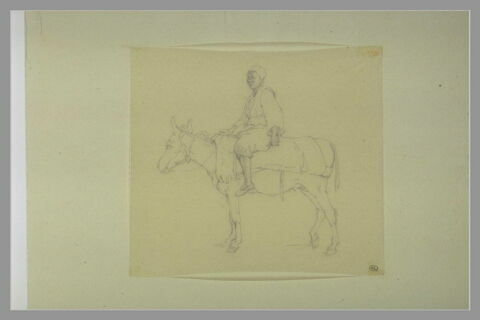 Jeune homme noir monté sur un âne, de profil vers la gauche, image 1/1