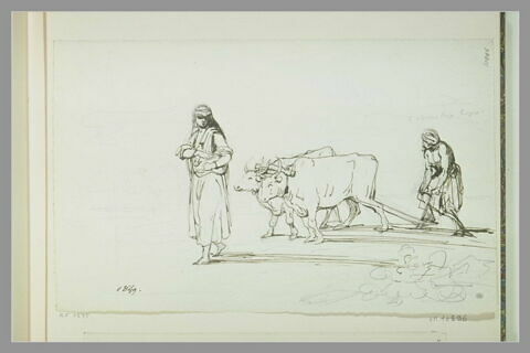 Femme précédant un arabe labourant avec une charrue tirée par deux boeufs, image 1/1