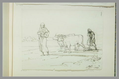 Femme précédant un arabe labourant avec une charrue tirée par deux boeufs, image 1/1