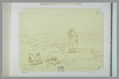 Berger arabe, debout, de face, gardant trois moutons et deux chèvres